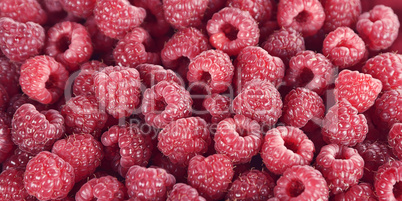 Red Raspberries