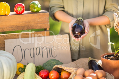 Woman hands showing an aubergine