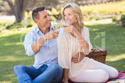 Smiling couple drinking wine and toasting