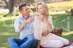 Smiling couple drinking wine and toasting