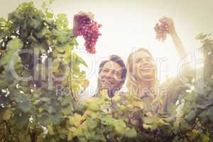 Young happy couple holding grapes