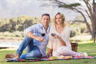 Smiling couple sitting on picnic blanket and drinking wine