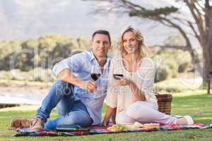 Smiling couple sitting on picnic blanket and drinking wine