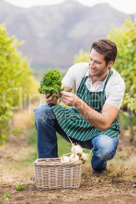Young happy farmer looking at the vegetable