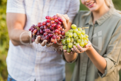 Two young happy vintners holding grapes
