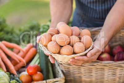 Farmer hands holding a basket of eggs