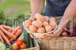 Farmer hands holding a basket of eggs