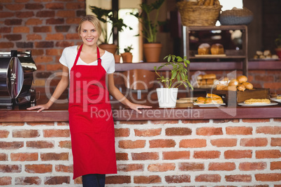 Pretty waitress looking at the camera