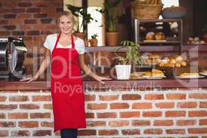 Pretty waitress looking at the camera