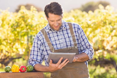 Smiling farmer using a digital tablet