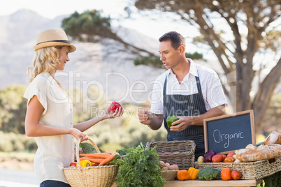 Smiling farmer discussing with a blonde customer