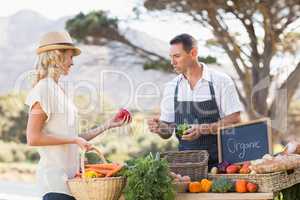 Smiling farmer discussing with a blonde customer