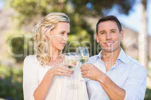 Portrait of smiling standing couple drinking wine and toasting