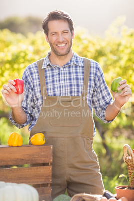 Cheerful farmer holding red and green peppers