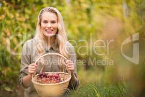 Blonde winegrower holding a red grapes basket