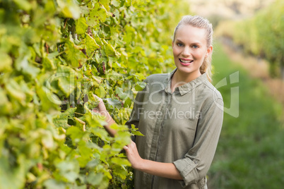 Young happy vintner smiling at camera