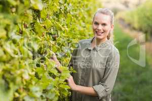 Young happy vintner smiling at camera