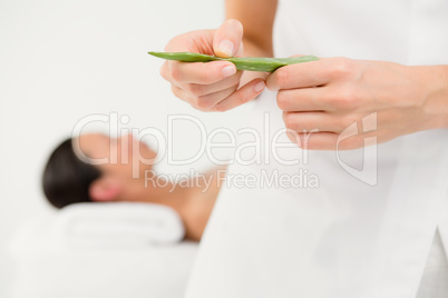 Attractive woman receiving aloe vera massage