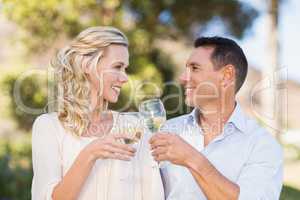 Smiling couple toasting and looking at each other