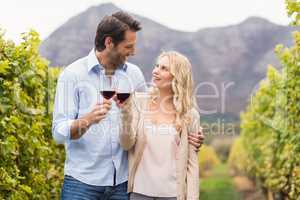 Young happy couple holding a glass of wine and looking at each o