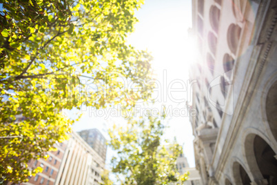 Low angle view of buildings and tress