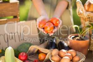 Woman hands showing three tomatoes