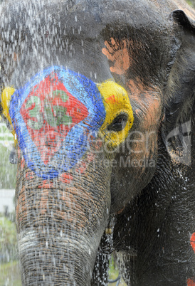 ASIA THAILAND AYUTTHAYA SONGKRAN FESTIVAL