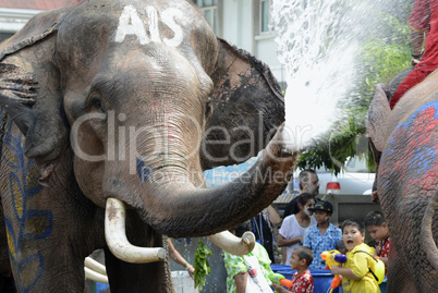 ASIA THAILAND AYUTTHAYA SONGKRAN FESTIVAL