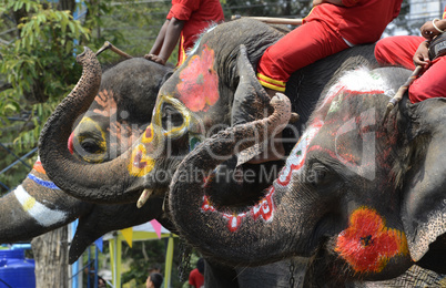 ASIA THAILAND AYUTTHAYA SONGKRAN FESTIVAL