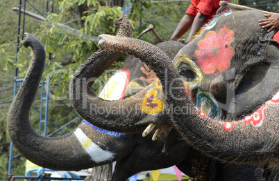 ASIA THAILAND AYUTTHAYA SONGKRAN FESTIVAL