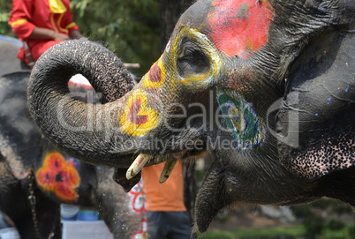 ASIA THAILAND AYUTTHAYA SONGKRAN FESTIVAL