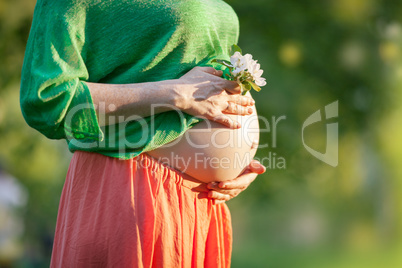 Bare Pregnant Belly with Flower