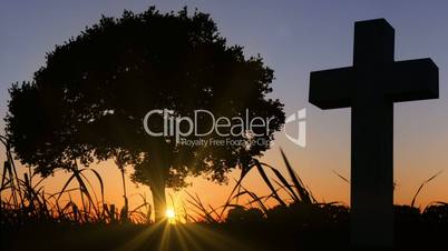 beautiful place to RIP under tree in sunset 11658