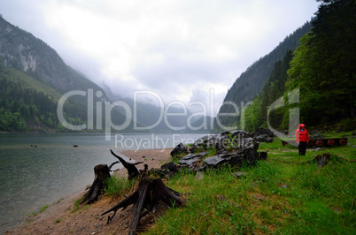 baumstaemme und felsen am gosausee