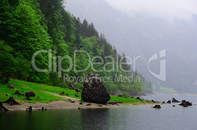 felsen und wald am see