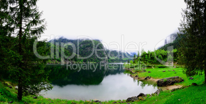 gosausee und baeume panorama