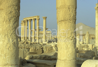 SYRIA PALMYRA ROMAN RUINS