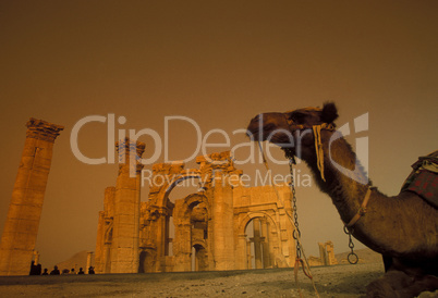 SYRIA PALMYRA ROMAN RUINS