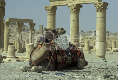 SYRIA PALMYRA ROMAN RUINS