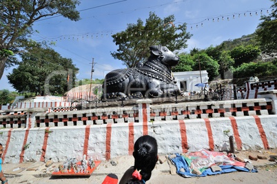 Nandi Bull bei Mysore, Indien