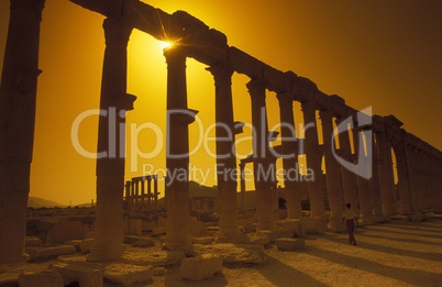 SYRIA PALMYRA ROMAN RUINS