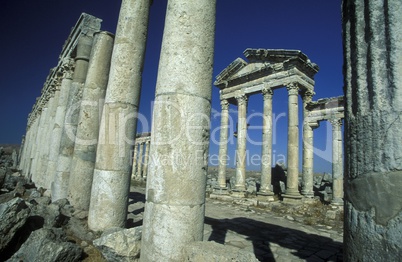 SYRIA PALMYRA ROMAN RUINS