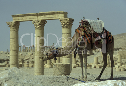 SYRIA PALMYRA ROMAN RUINS