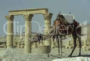 SYRIA PALMYRA ROMAN RUINS