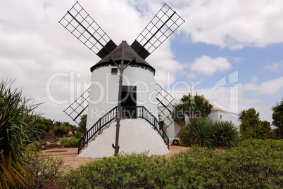 Windmühle in Antigua auf Fuerteventura