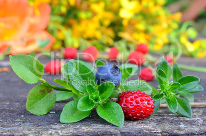 Forest fruits and Wild Thyme