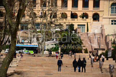 stiegen und palmen in marseille