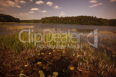 EUROPA LITAUEN LANDSCHAFT