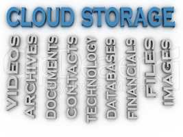 3d image Cloud storage issues concept word cloud background