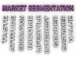 3d image Market segmentation  issues concept word cloud backgrou